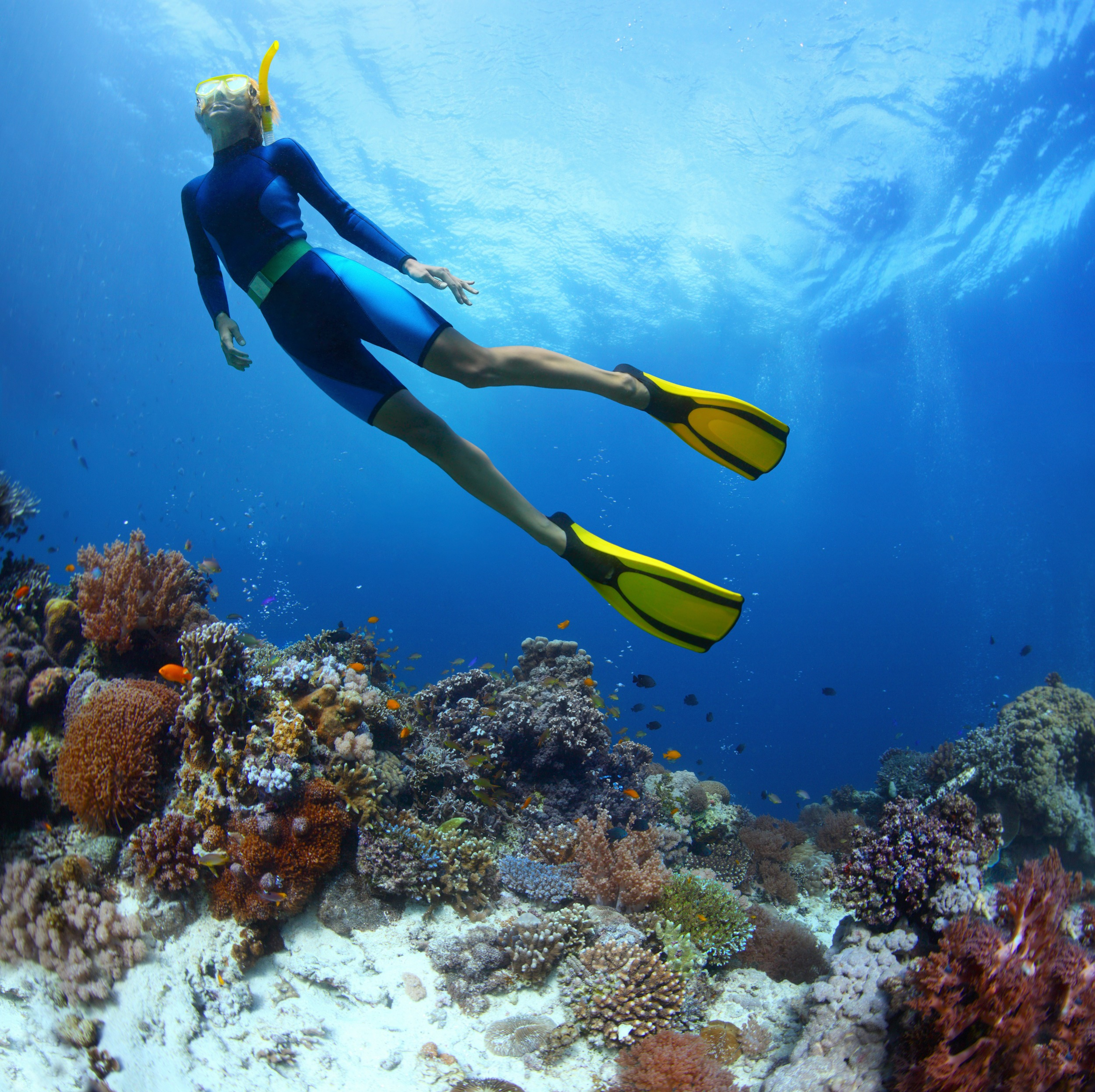 Full Day Snorkeling Adventure