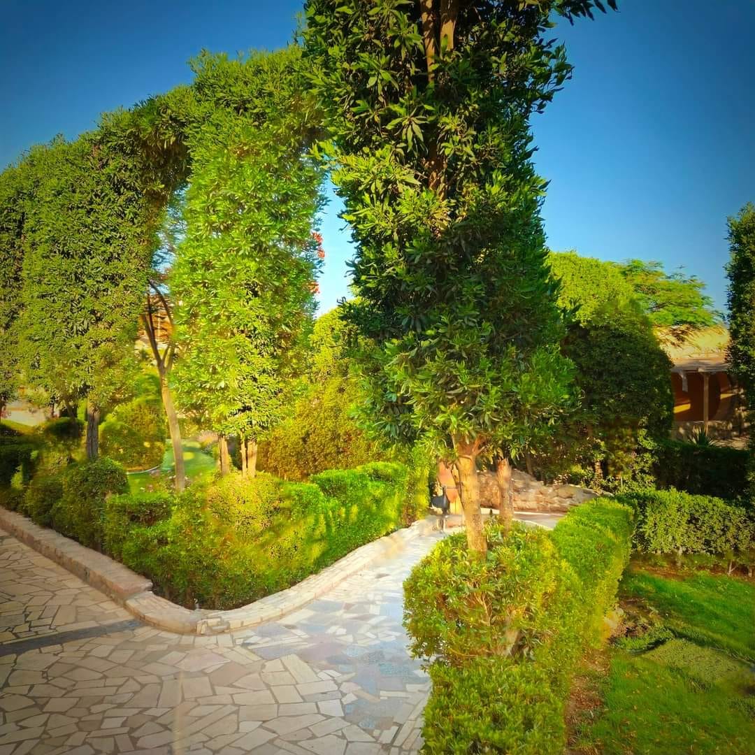 Discove Hurghada Grand Aquarium