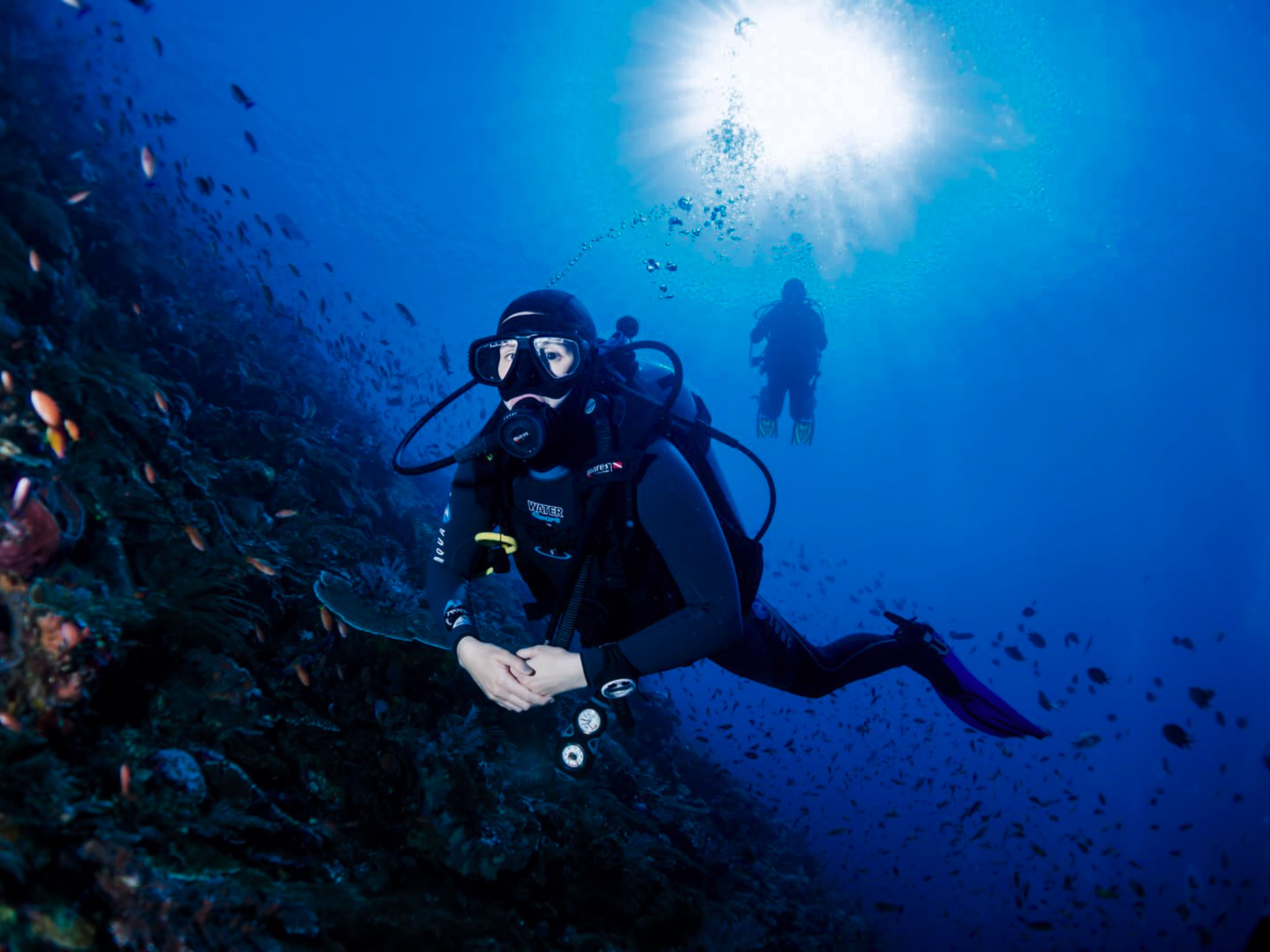 Daily Scuba Diving Adventures