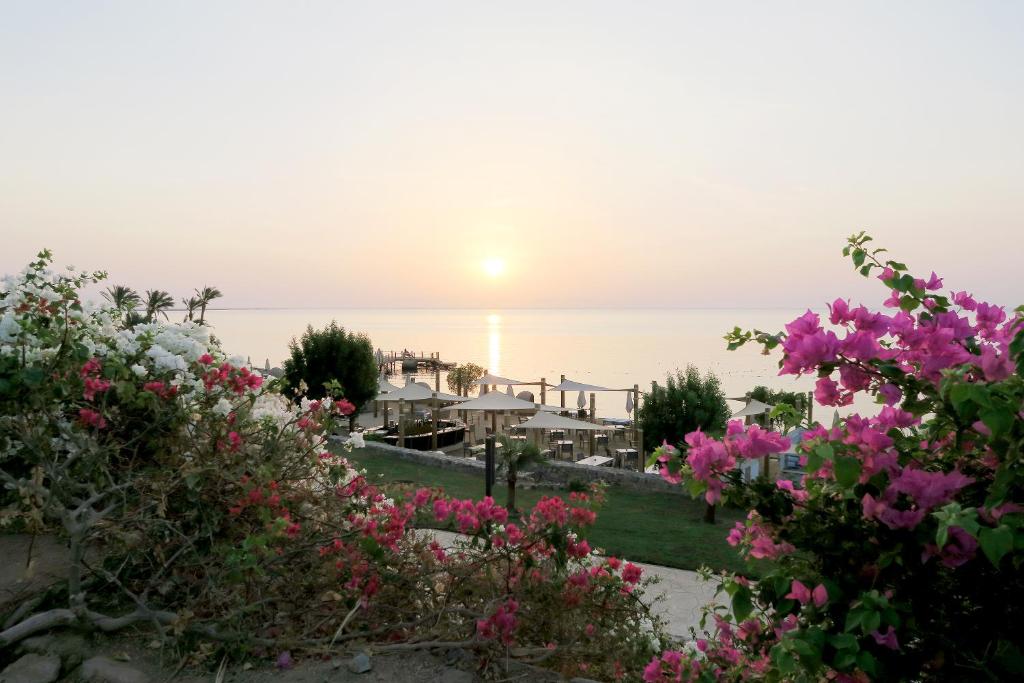 Retac Qunay Dahab Resort & Spa