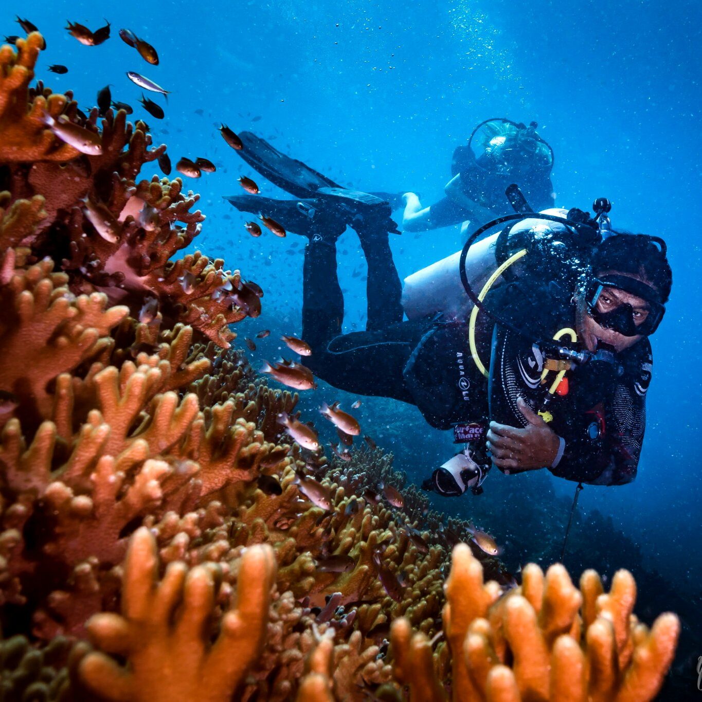 Discover Scuba Diving In Hurghada ( 2 Dives )