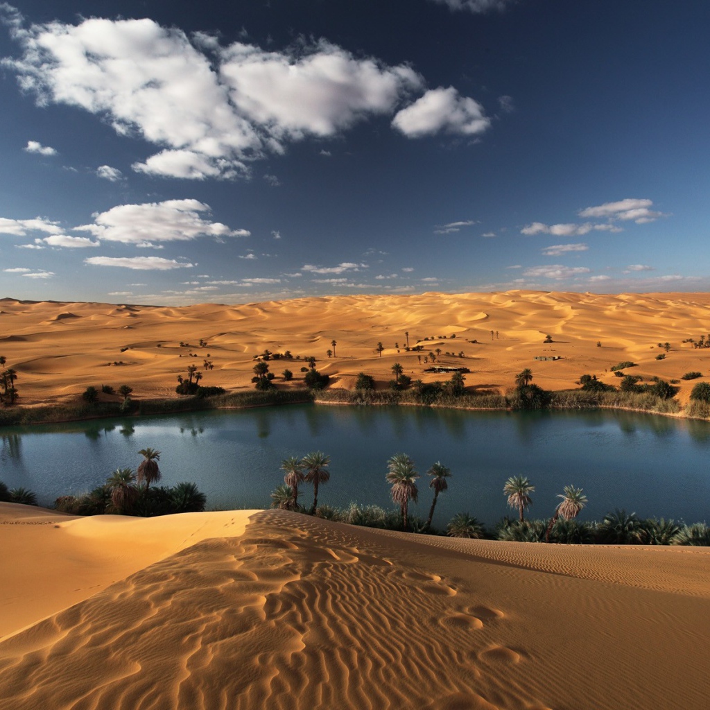 A Three Days Journey from Cairo to Baharyia Oasis