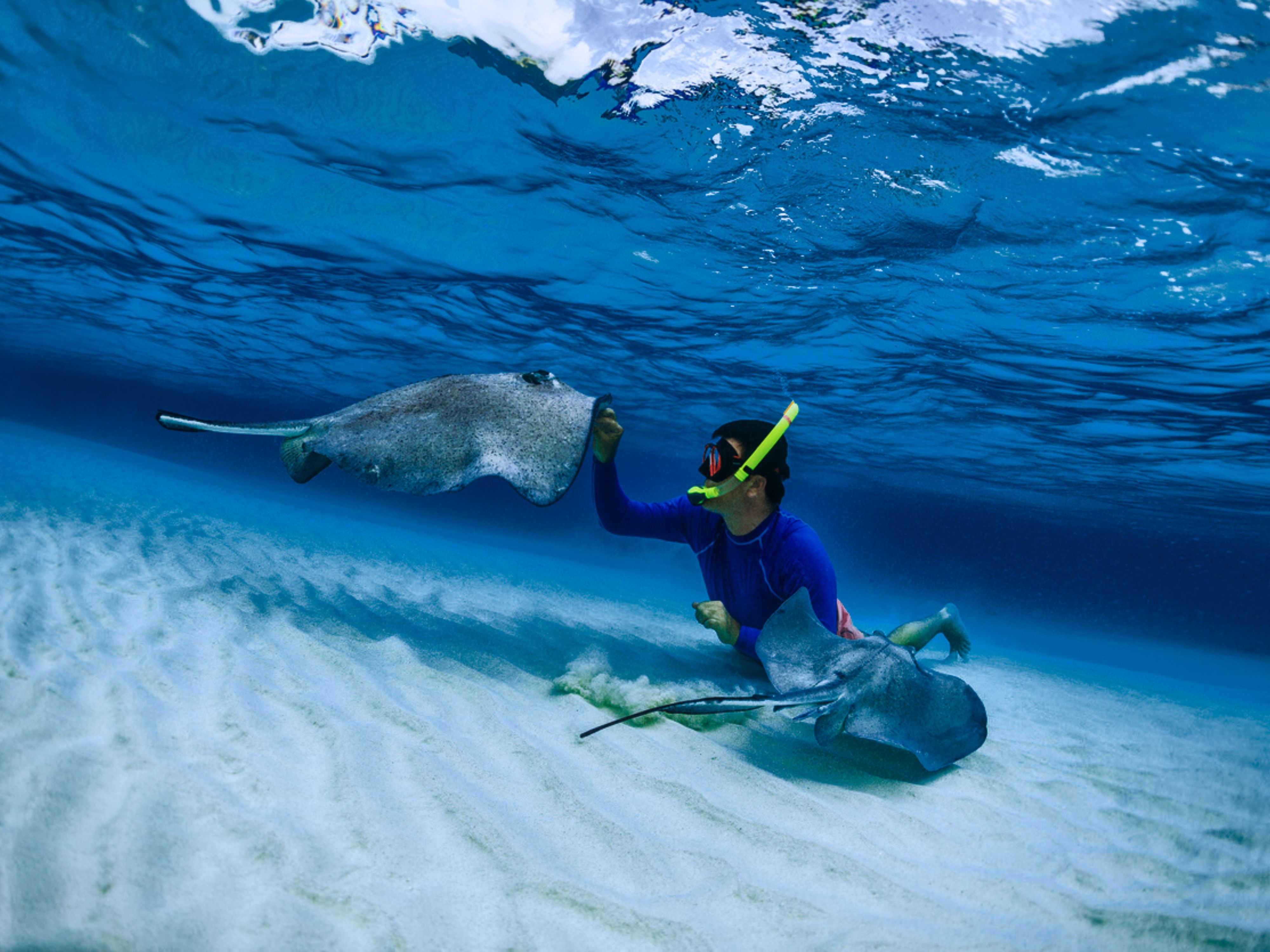 Snorkeling Safaga to Orange Bay Island Trip